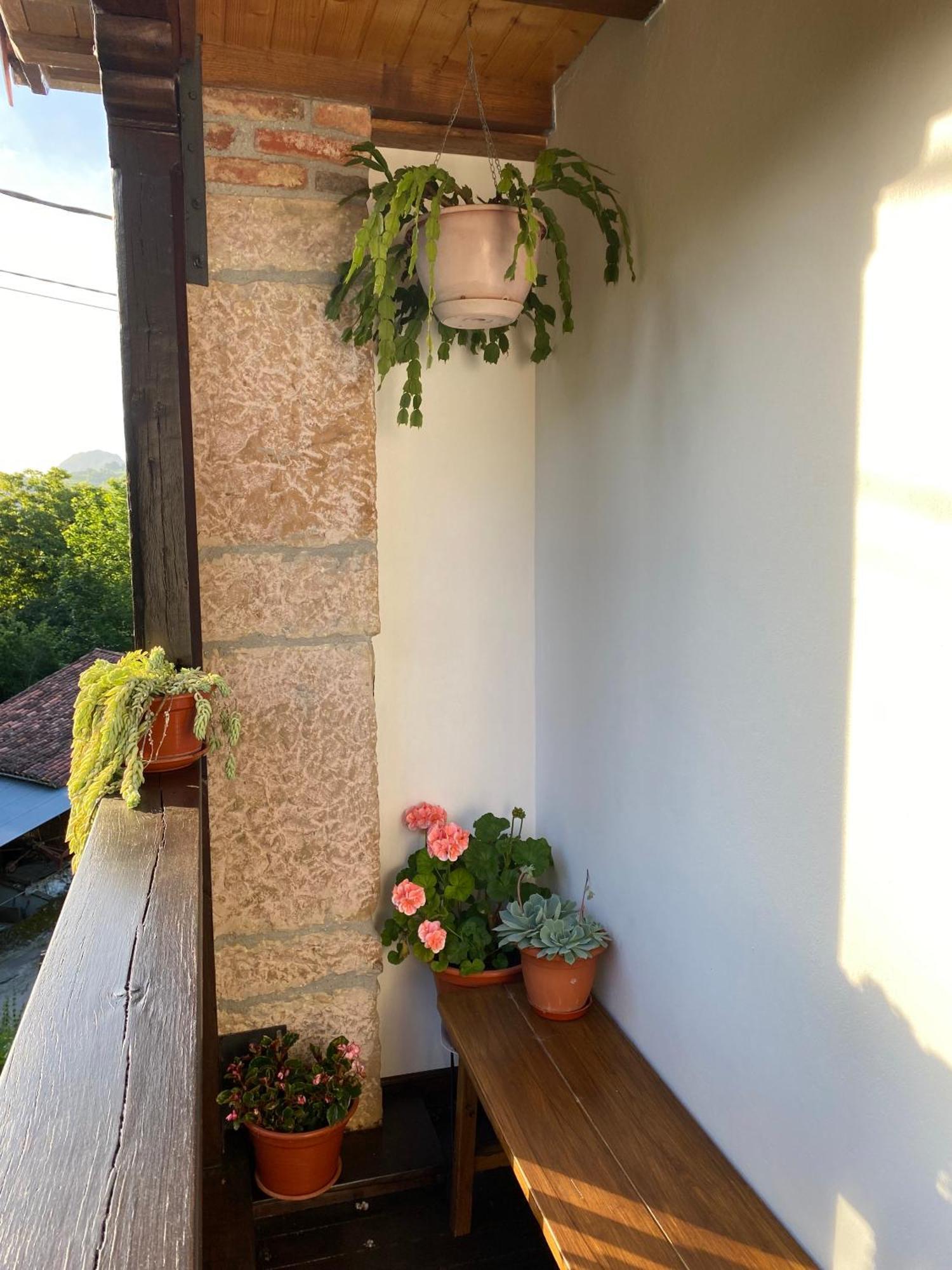 Apartamentos Rurales La Caviana Onís Exterior foto